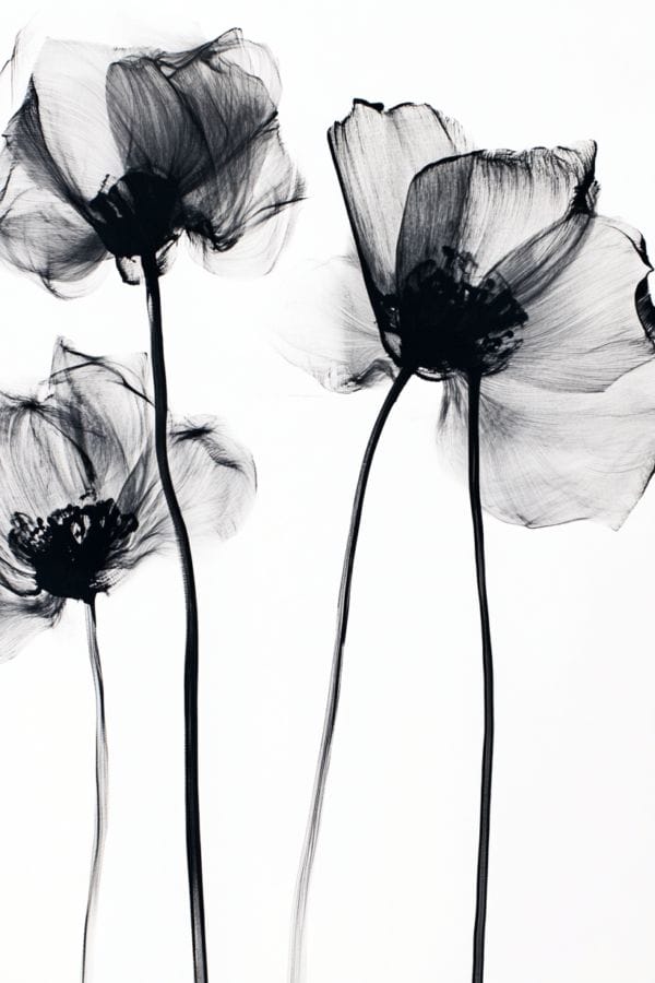 ATAIFL50 Inspiración en Movimiento_ATAI