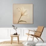 Reflejos del Alma_ATAI